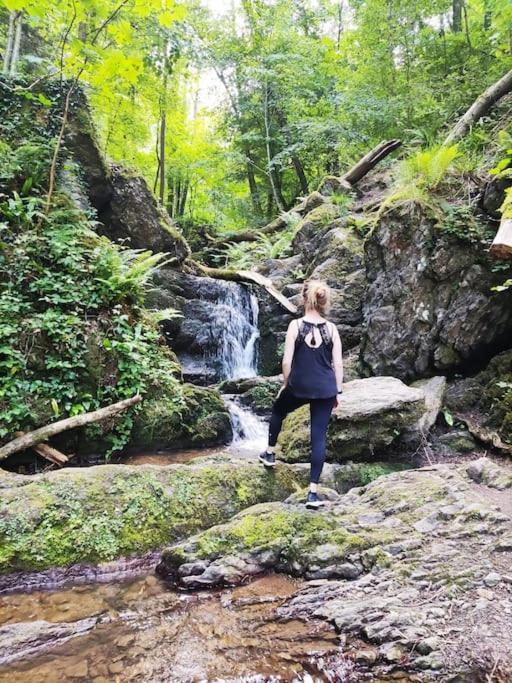 Au Jardin D'Eden Villa Hastiere-par-dela Dış mekan fotoğraf
